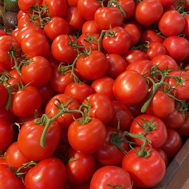 Tomatoes