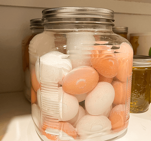 eggs